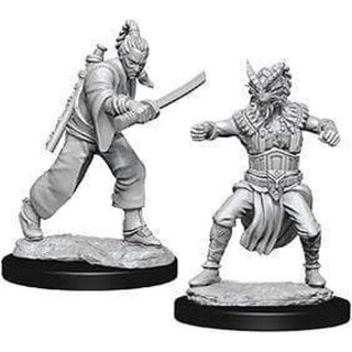 D&D Nolzurs Marvelous Miniatures - Male Human Monk