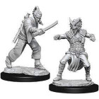 D&D Nolzurs Marvelous Miniatures - Male Human Monk