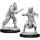 D&D Nolzurs Marvelous Miniatures - Male Human Monk