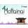 Mottainai Mini - English