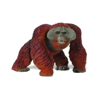 Safari Ltd Wildlife Wonders Bornean Orangutan