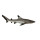 Safari s200029 Sea Life Schwarz Spitze Reef Shark Miniatur