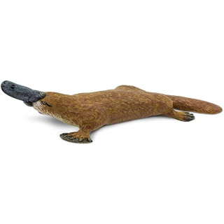Safari 283529 – Schnabeltier