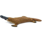 Safari 283529 – Schnabeltier