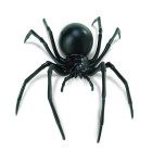 Toob "Safari Incredible Creatures Widow Spider...