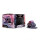 D&D Fizbans Treasury of Dragons Premium Set 1 Elder Brain Dragon: D&D Icons of the Realms Miniature