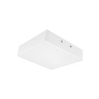 LEDVANCE LED Wand- und Deckenleuchte, Leuchte für...