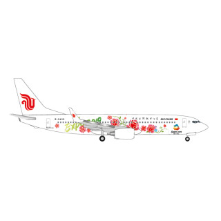 B737-800 Air China Expo 2019