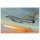 1/72 F106A Delta Art