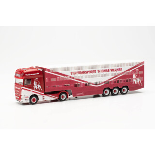 Herpa LKW Modell DAF XF SSC Viehtransporter-Sattelzug Thomas Werner, originalgetreu im Maßstab 1:87, Modell LKW für Diorama, Modellbau Sammlerstück, Made in Germany, Deko, LKW-Modell aus Kunststoff