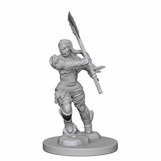 Pathfinder: Deep Cuts Unpainted Miniatures: Half-Orc Female Barbarian