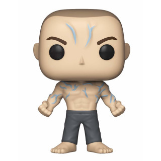 Funko POP! Vinyl - Split: Beast - Vinyl Figure 10cm