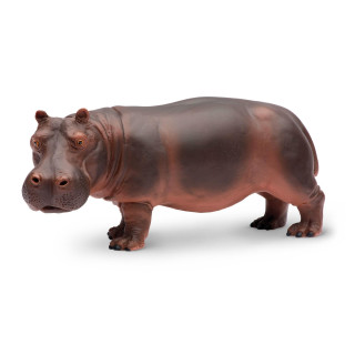 Safari 2704-29 - Nilpferd