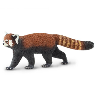 Panda rot