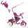 Little Tikes 4-in-1 Sports Edition Trike Purple