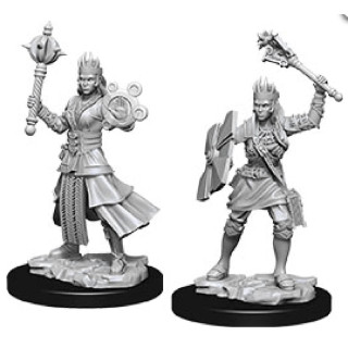 D&D Nolzurs Marvelous Miniatures - Female Human Cleric