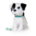 IMC Bowie - Küssender Hund