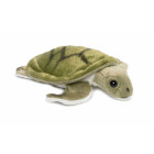 40 x WWF16700 - Wasserschildkröte, 18 cm