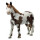 Safari 2341-29 - Pferd Pinto