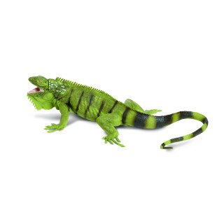Safari Ltd IC Grüner Leguan
