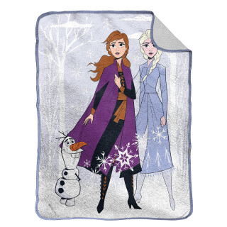 Jay Franco Disney Frozen Winternszene 130 x 150cm Flauschige Sherpa Fleece-Wurfdecke