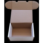 Docsmagic.de Graded Trading Card Storage Box - Holding 25...
