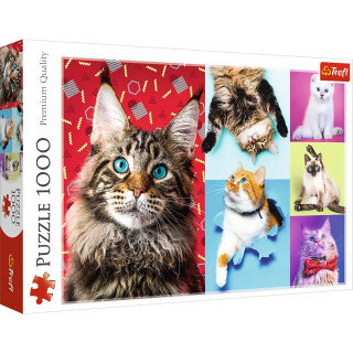 Trefl 10591 Lustige Katzen 1000 Teile, Premium Quality, für Erwachsene und Kinder ab 12 Jahren Puzzles
