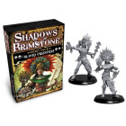 Shadows of Brimstone Hero Pack - Blood Priestess