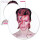 David Bowie Aladdin Sane 450 Piece Picture Disc Jigsaw Puzzle