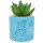 Disney Pflanztopf Steingut blau 150ml