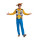 DISGUISE Woody Basic Plus Adult (Eu)