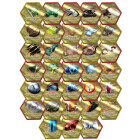 Renegade Games: Heroscape: Glyph Pack - Erweiterung, 33...