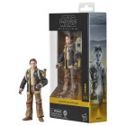 Star Wars The Black Series Fern, Skeleton Crew...