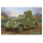 Hobby Boss 1/35 BA-20 Panzerwagen, Modell 1939