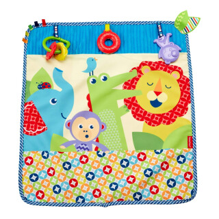 Fisher Price DYW52 Kleine Tierfreunde-Spieldecke, mehrfarbig