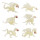 Safari "Toob Glow-in-The – Dark Drachen Miniaturen (Mehrfarbig)