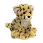 WWF - Cheetah - 15192019 - ...