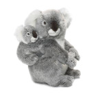 WWF16898 - Universal Trends - WWF...