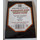 100 Docsmagic.de Resealable Magazine Size Comic Bags 8-3/4"x 11-1/8"+ 1-1/2"Flap- 2 Mil