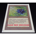 5 x  100 Docsmagic.de Mat White Card Sleeves Standard Size 66 x 91 - Weiss - Kartenhüllen - PKM MTG