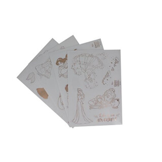 Disney Princess Gadget Abziehbilder