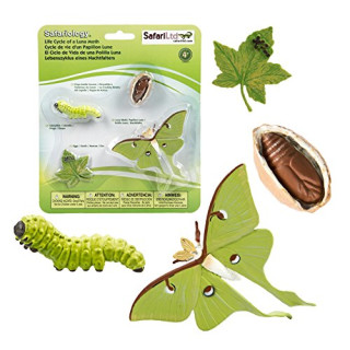 Safari Ltd. Lebenszyklus von A Luna moth- 4 Stages of Life