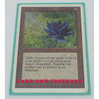 5 x 100 Docsmagic.de Mat Mint Card Sleeves Standard Size...