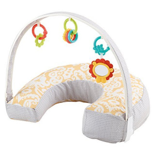 Mattel Fisher Price Baby 4 in 1 Gear Kissen DGY01