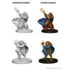 Dungeons & Dragons: Nolzurs Marvelous Unpainted Minis...