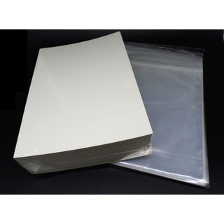 100 Docsmagic.de Regular Size Resealable Comic Bags + Backing Boards - Combo Pack 184 x 266 mm