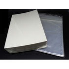 100 Docsmagic.de Regular Size Resealable Comic Bags +...