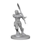 Pathfinder: Deep Cuts Unpainted Miniatures: Half-Orc...