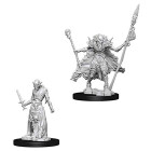 Pathfinder Battles Deep Cuts Unpainted Miniatures - Ghouls