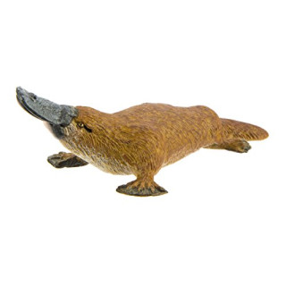Safari 283529 – Schnabeltier